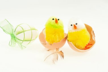 yumurta, yumurta, tavuk, sarı, yeşil, Paskalya, bebek tavuk, iki yeni hayat, yumurtadan kırık