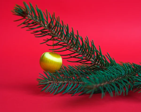 Natal Árvore Natal Decoração Corpus Verde Feriado Presépio Agulha Spray — Fotografia de Stock