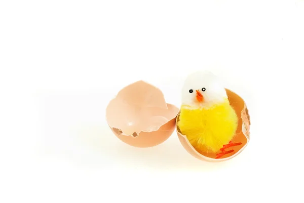 Yumurta Yumurta Tavuk Sarı Yeşil Paskalya Bebek Tavuk Iki Yeni — Stok fotoğraf