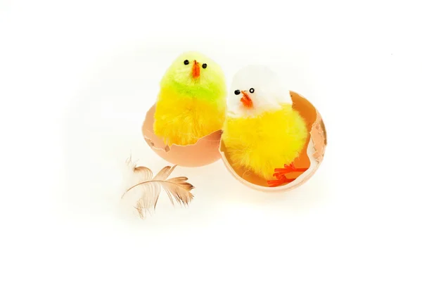 Jaj Jaja Kurczak Żółty Zielony Wielkanoc Kurczak Dziecka Pęknięty Dwa — Zdjęcie stockowe