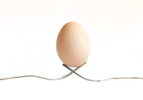 Одно Пасхальное Яйцо Белом Фоне — стоковое фото