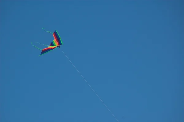 Kite on sky — Stock Photo, Image