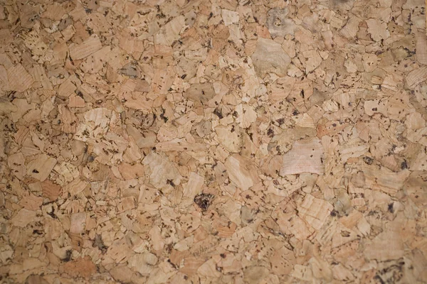 Cork-board arka plan kahverengi dokusuna yakın çekim