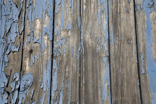 Деревини сині текстурі — стокове фото