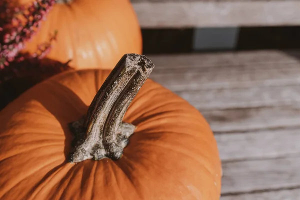 Mooie Grote Oranje Pompoenen Buiten Een Warme Herfstdag — Stockfoto