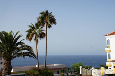 İspanya 'nın Tenerife şehrindeki Puerto De la Cruz şehrinin sokaklarında ilginç renkli yazlık evler.