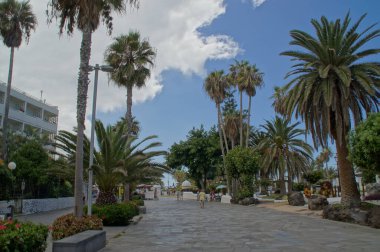 İspanya 'nın Tenerife şehrindeki Puerto De la Cruz şehrinin sokaklarında ilginç renkli yazlık evler.