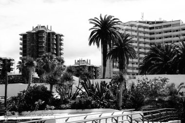 İspanya 'nın Tenerife şehrindeki Puerto De la Cruz şehrinin sokaklarında ilginç renkli yazlık evler.