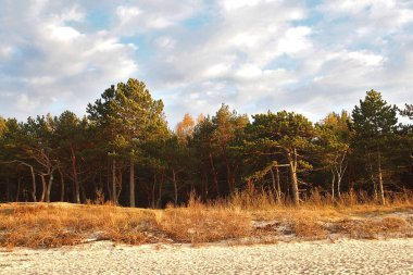 Gün batımında Polonya Baltık Denizi 'nin sakin manzarası