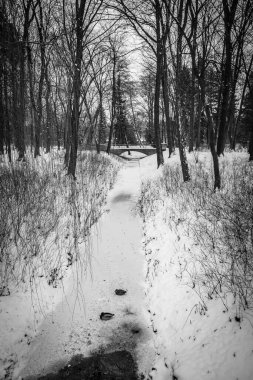 Karlı bir kış gününde Varşova Polonya 'da güzel bir park