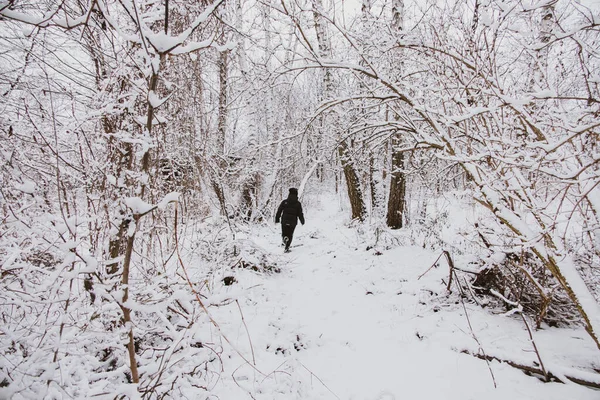 Pequena Criança Correndo Inverno Bela Neve Floresta Branca — Fotografia de Stock