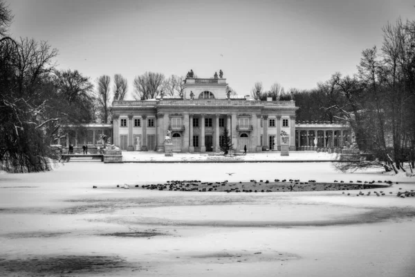 Belo Parque Varsóvia Polônia Dia Inverno Nevado — Fotografia de Stock