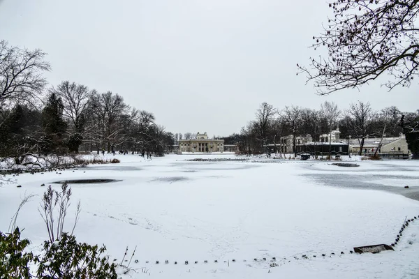 Piękny Park Warszawie Polska Śnieżny Zimowy Dzień — Zdjęcie stockowe