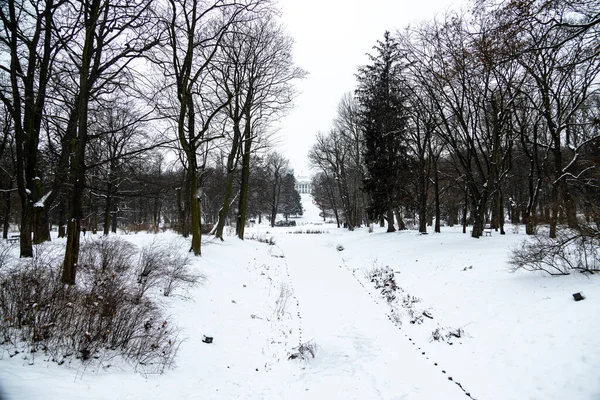 Hermoso Parque Varsovia Polonia Día Invierno Nevado — Foto de Stock