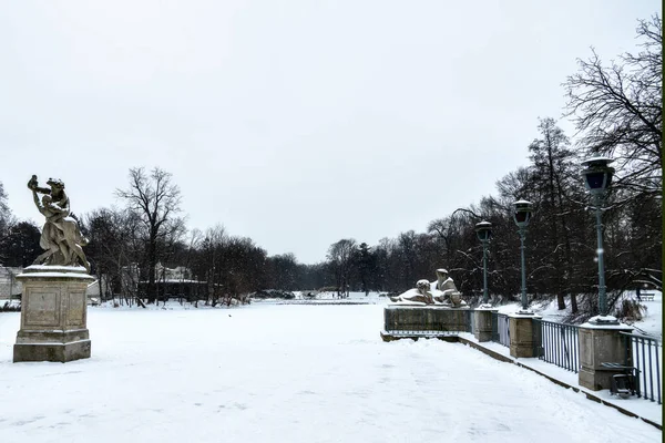 Schöner Park Warschau Polen Einem Verschneiten Wintertag — Stockfoto