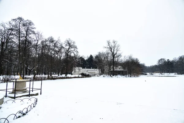 Belo Parque Varsóvia Polônia Dia Inverno Nevado — Fotografia de Stock