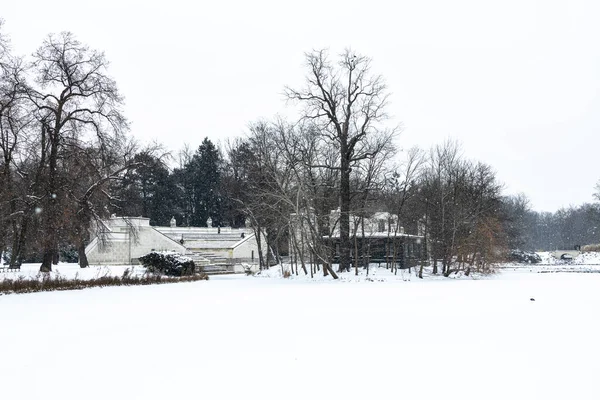 雪深い冬の日にポーランドのワルシャワにある美しい公園 — ストック写真
