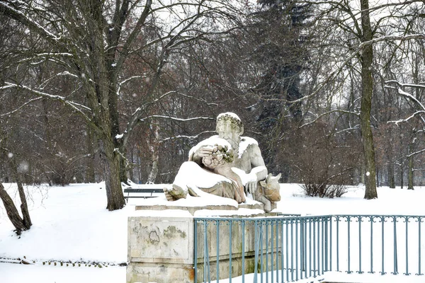 雪深い冬の日にポーランドのワルシャワにある美しい公園 — ストック写真