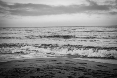 Baltık Denizi 'nden Polonya' ya kar yağan güzel kış manzarası