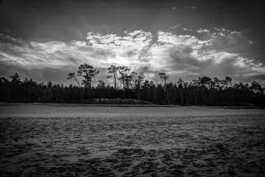 Baltık Denizi 'nden Polonya' ya kar yağan güzel kış manzarası
