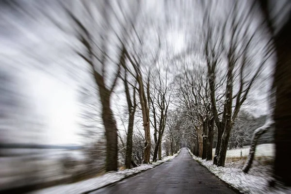Wąska Droga Asfaltowa Wśród Drzew Śnieżny Zimowy Dzień Polsce — Zdjęcie stockowe