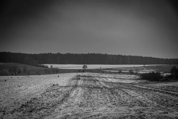 Beau Paysage Agricole Hiver Avec Neige Par Une Journée Nuageuse — Photo