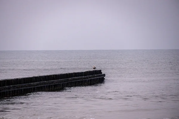 Bela Paisagem Beira Mar Mar Baltico Dia Calmo Com Quebra — Fotografia de Stock