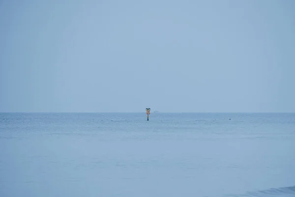 ポーランドの穏やかな灰色の寒い日のバルト海の美しい風景 — ストック写真