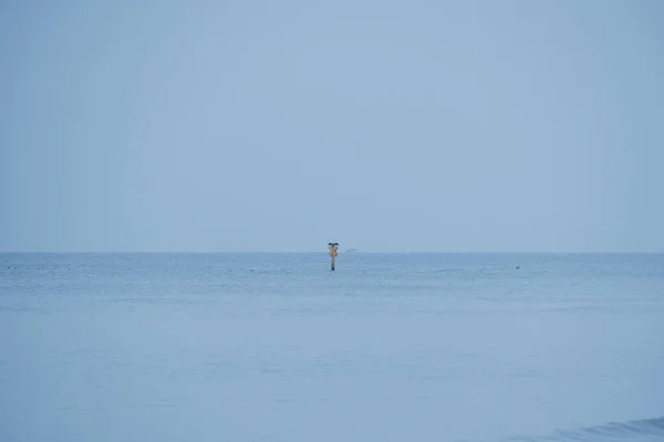 Vackert Landskap Vid Det Baltiska Havet Lugn Grå Kall Dag — Stockfoto