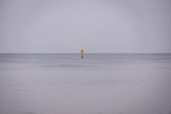 Όμορφο Τοπίο Από Βαλτική Θάλασσα Μια Ήρεμη Γκρίζα Κρύα Μέρα — Φωτογραφία Αρχείου