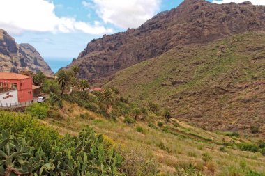çok güzel yeşil bir manzara ve İspanya 'nın Tenerife kentindeki Masca köyü.