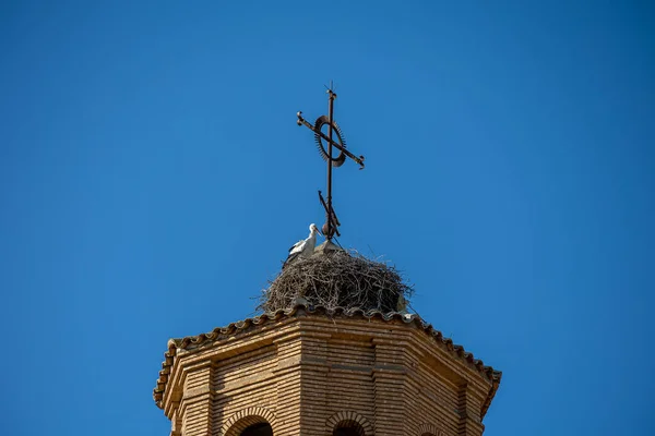 Велике Лелече Гніздо Церковній Вежі Тлі Блакитного Неба Птахами — стокове фото