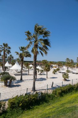Güneşli bir günde İspanya 'nın Zaragoza şehrinde kumsalları ve palmiyeleri olan güzel şehir plajı.
