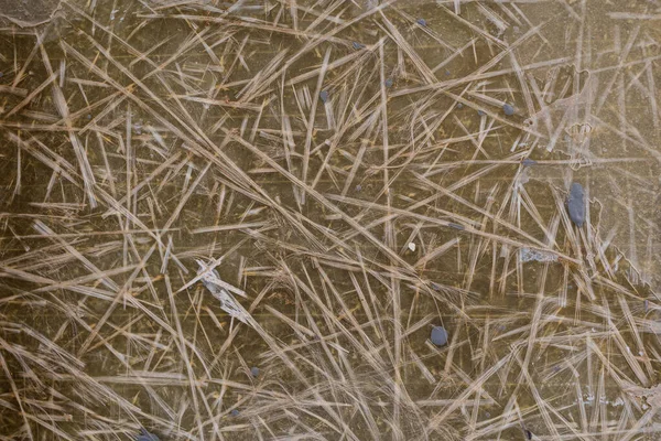 Красивый Интересный Естественный Абстрактный Бежево Серый Фон Крупным Планом — стоковое фото
