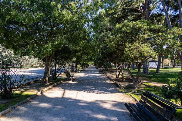 Hermoso Callejón Parque Grava Día Verano Entre Árboles Verdes —  Fotos de Stock