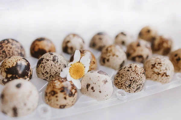 Kleine Wachteleier Paket Auf Hellem Hintergrund Ostern — Stockfoto