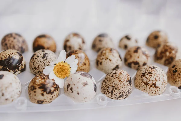 small quail eggs in a package on a bright background for Easter