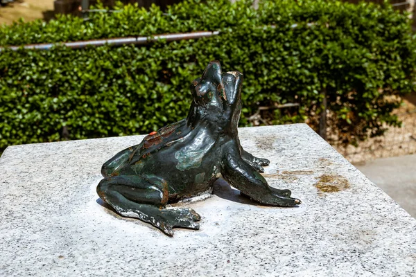 Statue Des Kleinen Frosches Der Stadt Saragossa Spanien Einem Sonnigen — Stockfoto