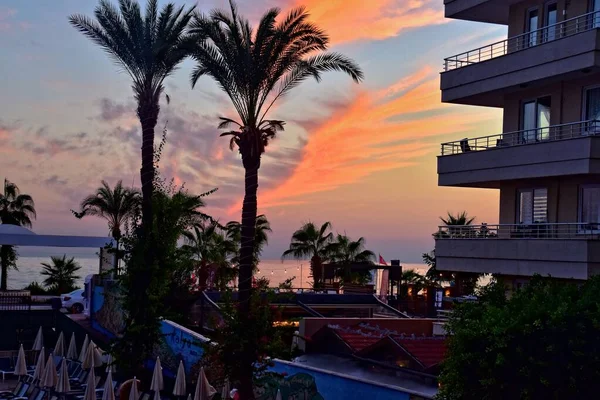 Beautiful Landscape Setting Sun Palm Trees Buildings Alanya Turkey Holiday — Stock Photo, Image