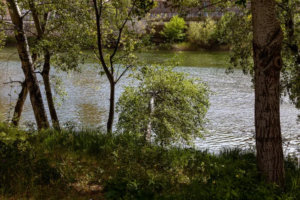 Wunderschöne Landschaft Eines Flusses Der Hinter Grünen Frühlingsbäumen Fließt — Stockfoto