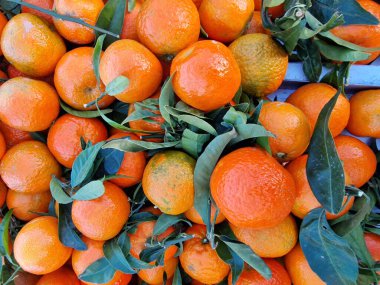 Canlı bir portakal yığını çerçeveyi doldurur, taze yeşil yapraklarla süslenir..