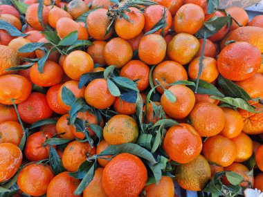 Canlı bir portakal yığını çerçeveyi doldurur, taze yeşil yapraklarla süslenir..