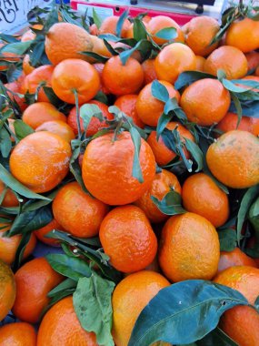 Canlı, taze toplanmış mandalina koleksiyonu parlak turuncu renklerini ve parlak dokularını sergiliyor..