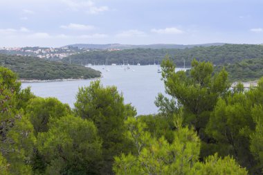 Görünüm shore görmek