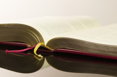 Açık kitap parçası