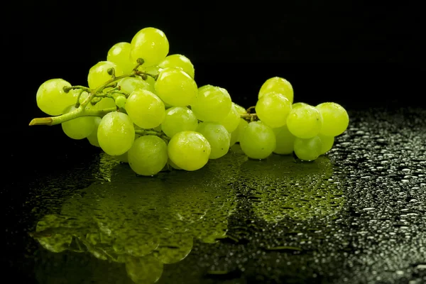 Мокрый виноград — стоковое фото