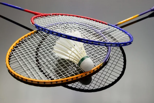 Juego de bádminton Imágenes de stock libres de derechos