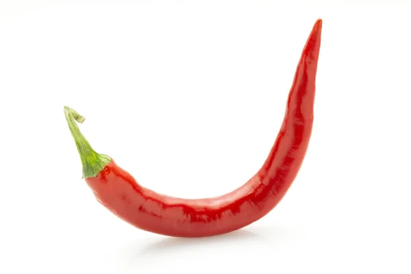 Rode chili peper — Stockfoto