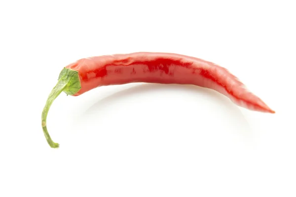 Rode chili peper — Stockfoto