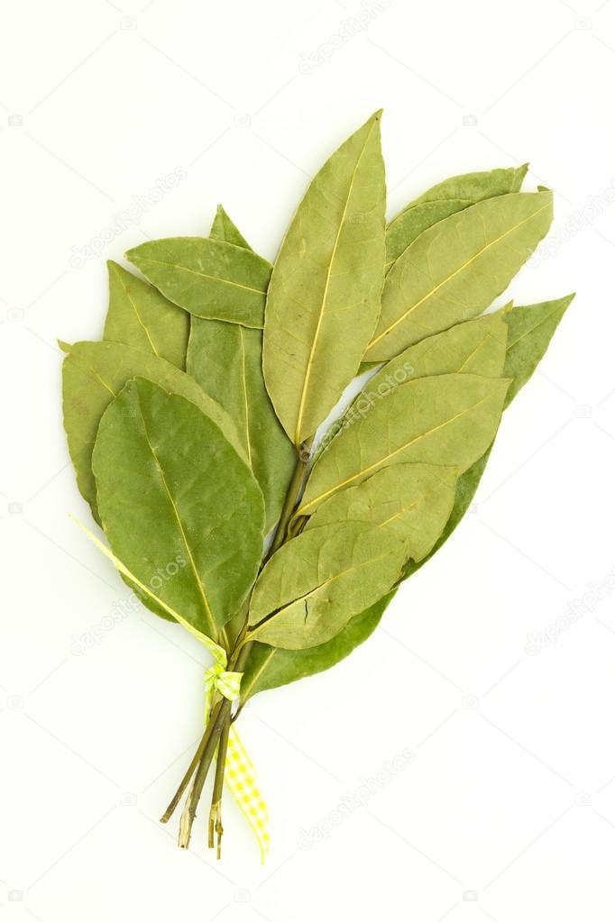 bay leaf on white
